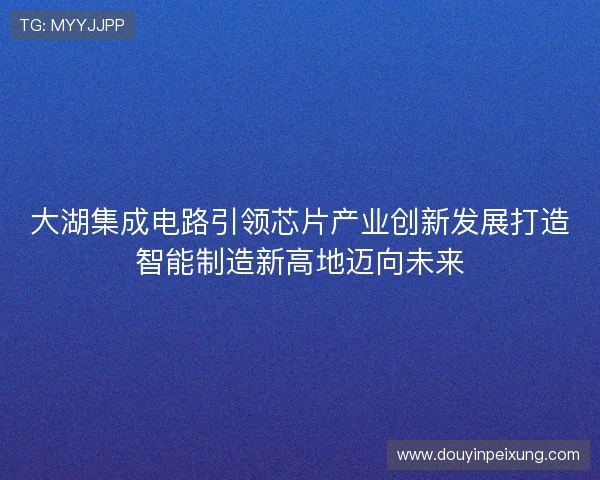 大湖集成电路引领芯片产业创新发展打造智能制造新高地迈向未来